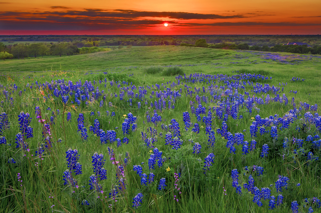 central texas engineering services