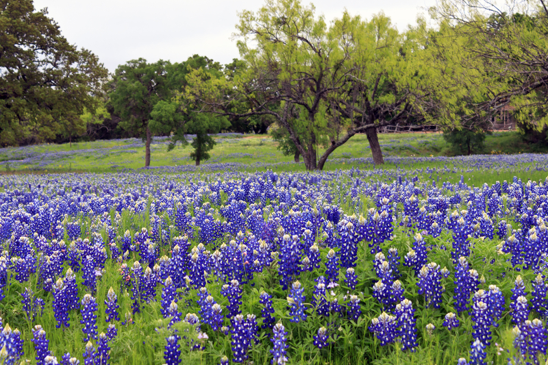 planning solutions for central texas engineering