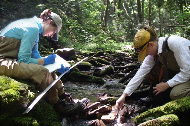 watershed analysis